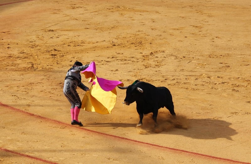 Bull Illustration